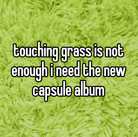 touch grass meme